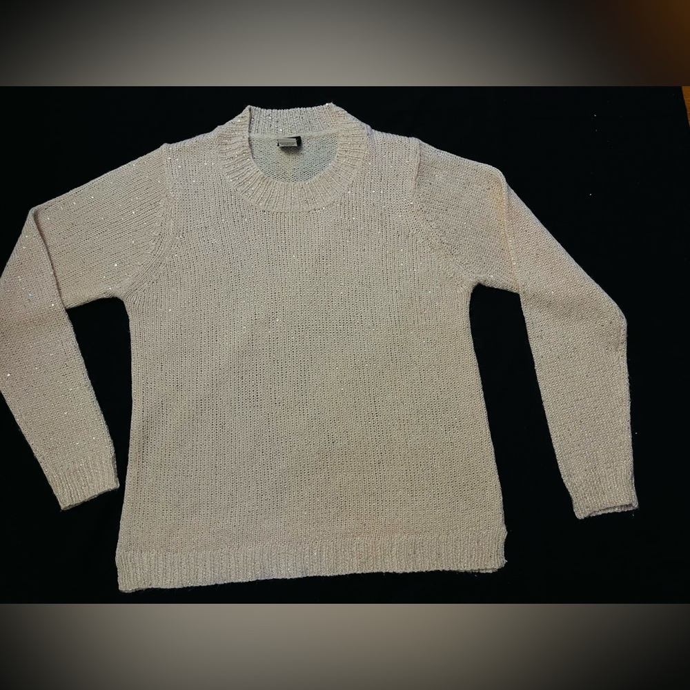 Salon Studio/medium/ crewneck pullover sweater/with glitter accents throughout